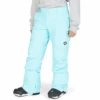 DC Nonchalant Youth Snow Pants
