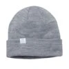 The FLT Beanie By Coal